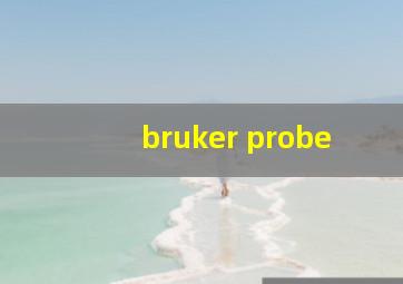 bruker probe